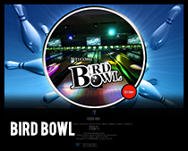 The Bird Bowl
